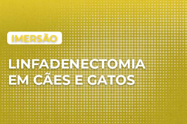 Imagem do curso: Linfadenectomia em cães e gatos   